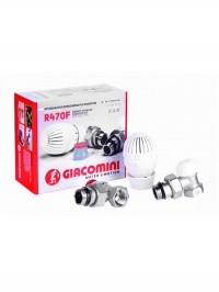 Комплект Термо Угловой Giacomini (R470F*003) 1.2(ТЕРМ ГОЛОВКА,КЛАП)